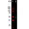 RNA Binding Fox-1 Homolog 3 antibody, GTX00837, GeneTex, Western Blot image 