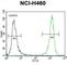 Diacylglycerol Kinase Theta antibody, abx033885, Abbexa, Western Blot image 