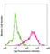 Podoplanin antibody, 127403, BioLegend, Flow Cytometry image 