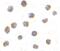 Activating Transcription Factor 6 antibody, PA5-20216, Invitrogen Antibodies, Immunocytochemistry image 