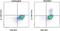 Interleukin 17F antibody, 11-9179-42, Invitrogen Antibodies, Flow Cytometry image 