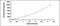 ADAM Metallopeptidase With Thrombospondin Type 1 Motif 5 antibody, MBS2024726, MyBioSource, Enzyme Linked Immunosorbent Assay image 