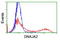 DnaJ Heat Shock Protein Family (Hsp40) Member A2 antibody, TA502126, Origene, Flow Cytometry image 