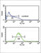 Killer Cell Immunoglobulin Like Receptor, Three Ig Domains And Long Cytoplasmic Tail 2 antibody, abx034281, Abbexa, Flow Cytometry image 