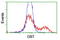 Dihydrolipoamide Branched Chain Transacylase E2 antibody, LS-C173946, Lifespan Biosciences, Flow Cytometry image 