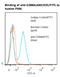 Carcinoembryonic Antigen Related Cell Adhesion Molecule 8 antibody, LS-C777367, Lifespan Biosciences, Flow Cytometry image 