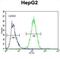 Growth Factor, Augmenter Of Liver Regeneration antibody, abx026377, Abbexa, Flow Cytometry image 