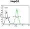 hERV1 antibody, abx026377, Abbexa, Flow Cytometry image 