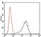 Sex Determining Region Y antibody, GTX60628, GeneTex, Flow Cytometry image 