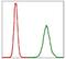 Protein Phosphatase 2 Phosphatase Activator antibody, NBP2-37530, Novus Biologicals, Flow Cytometry image 