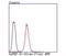 Heterogeneous Nuclear Ribonucleoprotein A1 antibody, NBP2-66891, Novus Biologicals, Flow Cytometry image 