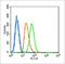 Nuclear Factor Kappa B Subunit 1 antibody, orb6514, Biorbyt, Flow Cytometry image 