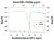 Insulin Like Growth Factor Binding Protein 2 antibody, AF674, R&D Systems, Neutralising image 