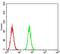 Purinergic Receptor P2Y13 antibody, NBP2-52527, Novus Biologicals, Flow Cytometry image 