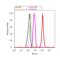 Casein Kinase 1 Epsilon antibody, 487600, Invitrogen Antibodies, Flow Cytometry image 