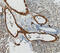 Adiponectin, C1Q And Collagen Domain Containing antibody, AF3100, R&D Systems, Immunohistochemistry paraffin image 