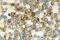 CD11C antibody, GTX01849, GeneTex, Immunohistochemistry paraffin image 