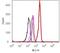 Protein Tyrosine Kinase 2 antibody, 700013, Invitrogen Antibodies, Flow Cytometry image 