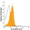 Interleukin 17 Receptor A antibody, FAB4482A, R&D Systems, Flow Cytometry image 