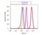 Somatostatin Receptor 2 antibody, NB100-74537, Novus Biologicals, Flow Cytometry image 