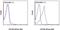 CD160 antigen antibody, 50-1601-82, Invitrogen Antibodies, Flow Cytometry image 