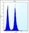 Olfactory Receptor Family 11 Subfamily L Member 1 antibody, PA5-71716, Invitrogen Antibodies, Flow Cytometry image 