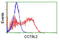 Chaperonin Containing TCP1 Subunit 8 Like 2 antibody, LS-C174277, Lifespan Biosciences, Flow Cytometry image 