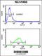 Myelin Associated Glycoprotein antibody, 63-667, ProSci, Flow Cytometry image 