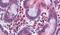 Transmembrane Serine Protease 4 antibody, PA5-34273, Invitrogen Antibodies, Immunohistochemistry frozen image 