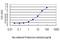Lymphoid Enhancer Binding Factor 1 antibody, H00051176-M03, Novus Biologicals, Enzyme Linked Immunosorbent Assay image 