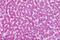 Glutamate Metabotropic Receptor 7 antibody, orb85334, Biorbyt, Immunohistochemistry paraffin image 