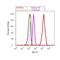 Caveolin 1 antibody, PA1-064, Invitrogen Antibodies, Flow Cytometry image 