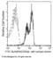 SLAM Family Member 6 antibody, 11945-R002-F, Sino Biological, Flow Cytometry image 