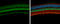 Neuronal PAS domain-containing protein 2 antibody, GTX105741, GeneTex, Immunohistochemistry paraffin image 