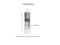 Tetraspanin 8 antibody, H00007103-M02, Novus Biologicals, Western Blot image 