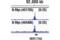 MYCN Proto-Oncogene, BHLH Transcription Factor antibody, 51705S, Cell Signaling Technology, Chromatin Immunoprecipitation image 