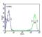 PR/SET Domain 7 antibody, orb373884, Biorbyt, Flow Cytometry image 