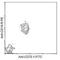 CD72 Molecule antibody, NBP1-28021, Novus Biologicals, Flow Cytometry image 