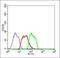 Hes Family BHLH Transcription Factor 6 antibody, orb157511, Biorbyt, Flow Cytometry image 
