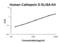 Cathepsin D antibody, EK0672, Boster Biological Technology, Enzyme Linked Immunosorbent Assay image 