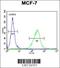 Olfactory Receptor Family 6 Subfamily C Member 4 antibody, 55-501, ProSci, Flow Cytometry image 