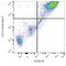 CD209 Molecule antibody, NBP2-21791, Novus Biologicals, Flow Cytometry image 