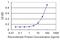 T-Box 21 antibody, H00030009-M05, Novus Biologicals, Enzyme Linked Immunosorbent Assay image 