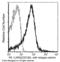 Cytokine receptor common subunit gamma antibody, 50087-R011-P, Sino Biological, Flow Cytometry image 