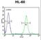 Cornichon Family AMPA Receptor Auxiliary Protein 2 antibody, LS-C168879, Lifespan Biosciences, Flow Cytometry image 