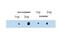 Tripartite Motif Containing 29 antibody, TA319472, Origene, Western Blot image 