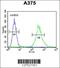 Zinc Finger CCHC-Type Containing 17 antibody, 55-563, ProSci, Immunofluorescence image 