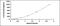 Laminin Subunit Gamma 2 antibody, OKCD07986, Aviva Systems Biology, Enzyme Linked Immunosorbent Assay image 