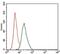 RUNX Family Transcription Factor 3 antibody, MA5-17169, Invitrogen Antibodies, Flow Cytometry image 