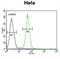 Alanine--Glyoxylate Aminotransferase 2 antibody, abx034535, Abbexa, Flow Cytometry image 